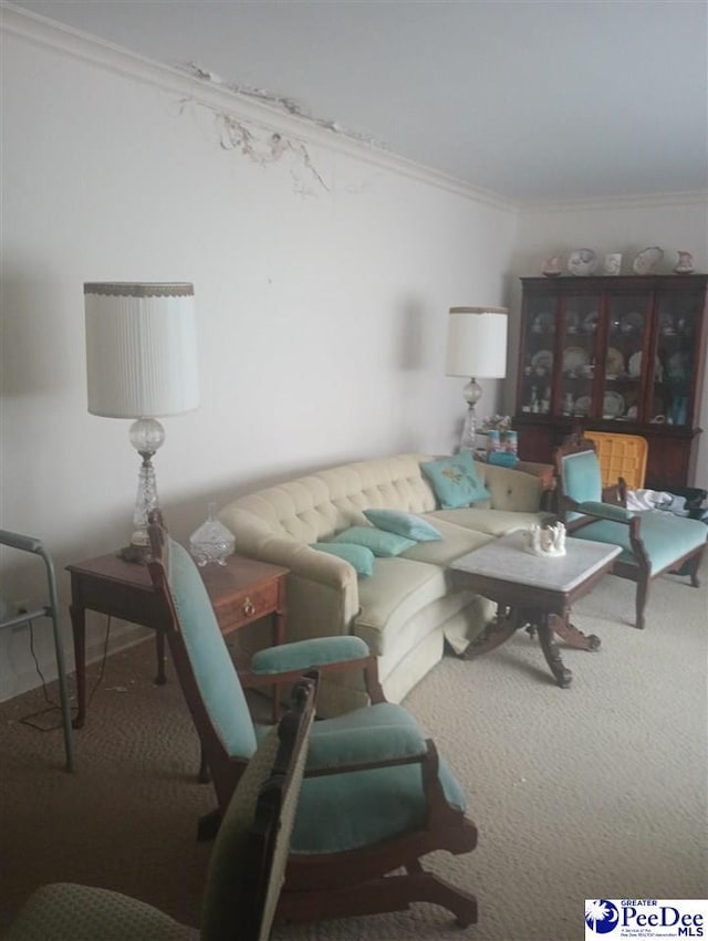 1815 Hampton Dr, Florence, SC 29505 - carpeted living area featuring crown molding