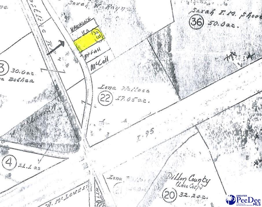 TBD W Main St, Dillon, SC 29536 - photo 2