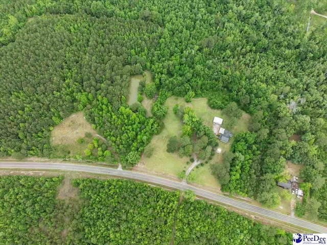 2776 Holly Rd, Marion, SC 29571 - photo 22
