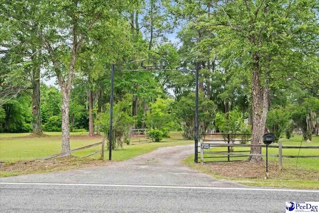 2776 Holly Rd, Marion, SC 29571 - photo 7