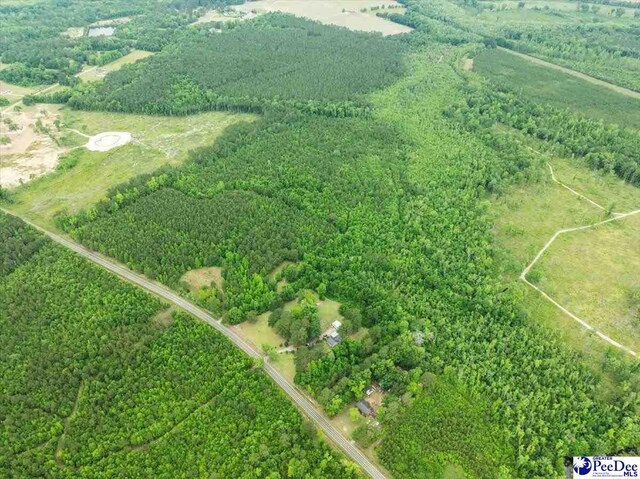 2776 Holly Rd, Marion, SC 29571 - photo 10