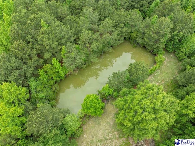2776 Holly Rd, Marion, SC 29571 - photo 23
