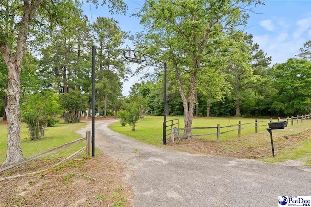 2776 Holly Rd, Marion, SC 29571 - photo 14