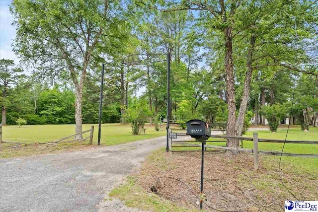 2776 Holly Rd, Marion, SC 29571 - photo 8