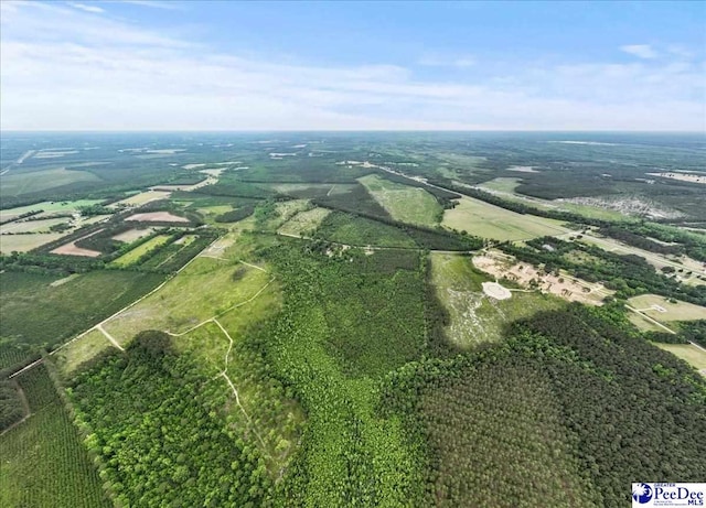 2776 Holly Rd, Marion, SC 29571 - photo 17