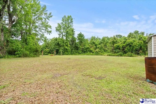 2776 Holly Rd, Marion, SC 29571 - photo 6
