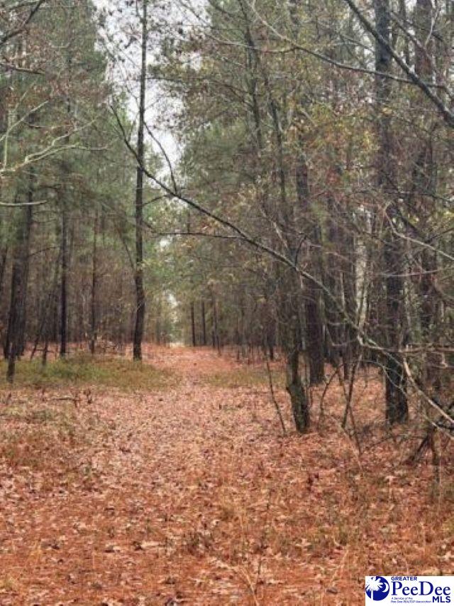 3622 Bethune Rd, Bethune SC, 29009 land for sale