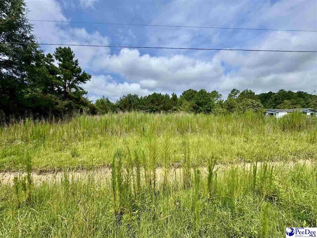 TBD Nessey Court, Marion, SC 29571 - photo 3