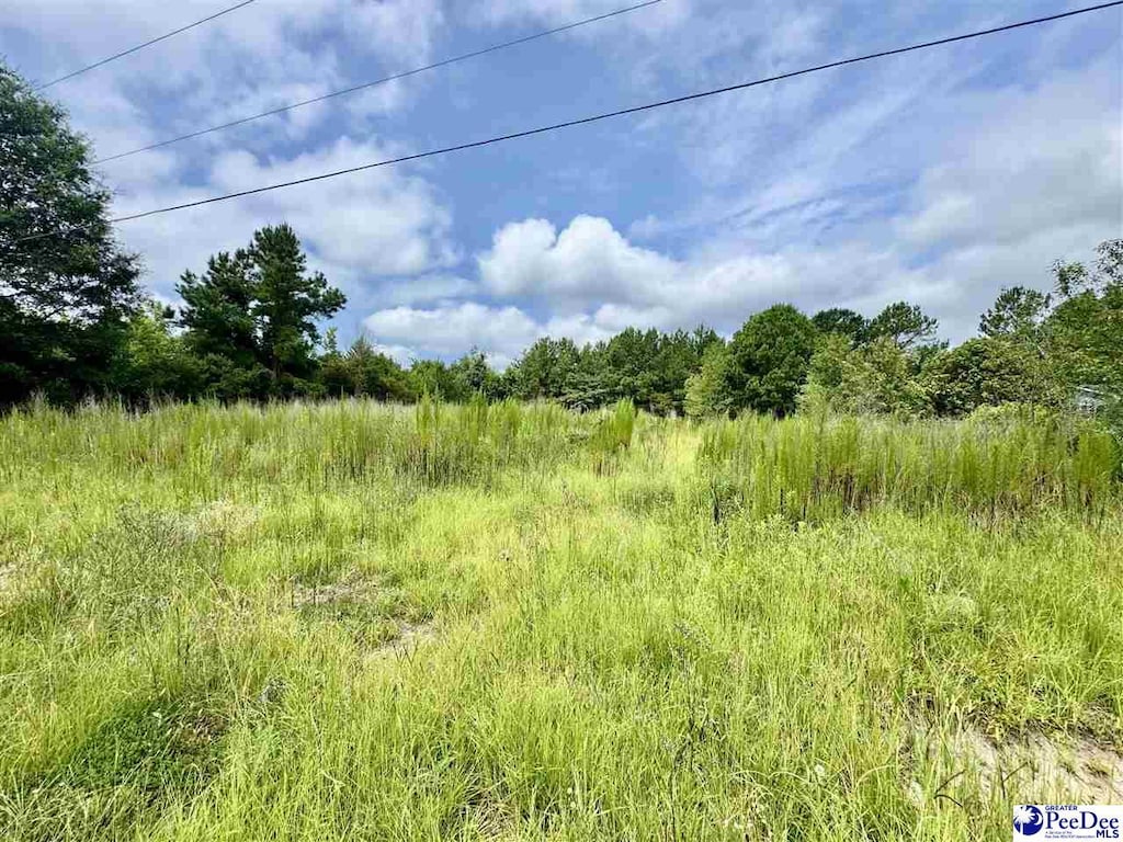 TBD Nessey Court, Marion, SC 29571 - photo 1