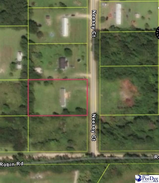 TBD Nessey Court, Marion, SC 29571 - photo 2