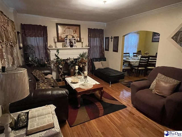 living room featuring hardwood / wood-style floors and crown molding