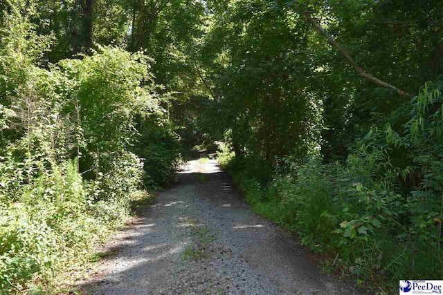TBD E Old Marion Hwy, Florence, SC 29506