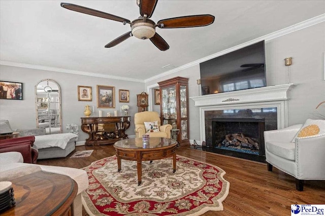 living room with crown molding, a fireplace, ceiling fan, and wood finished floors