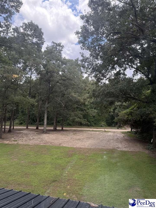 1055 Clyde School Rd, Hartsville, SC 29550 - photo 36