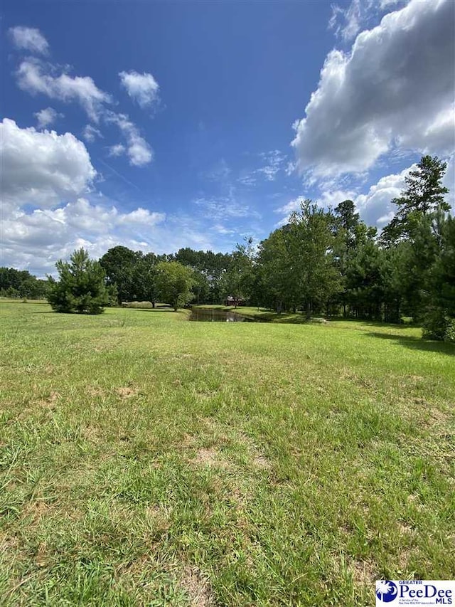 2266 Mack Arthur Rd, Mullins, SC 29574 - photo 10
