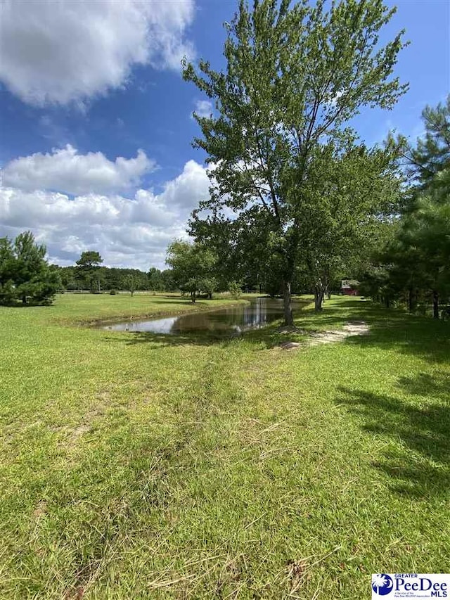 2266 Mack Arthur Rd, Mullins, SC 29574 - photo 9