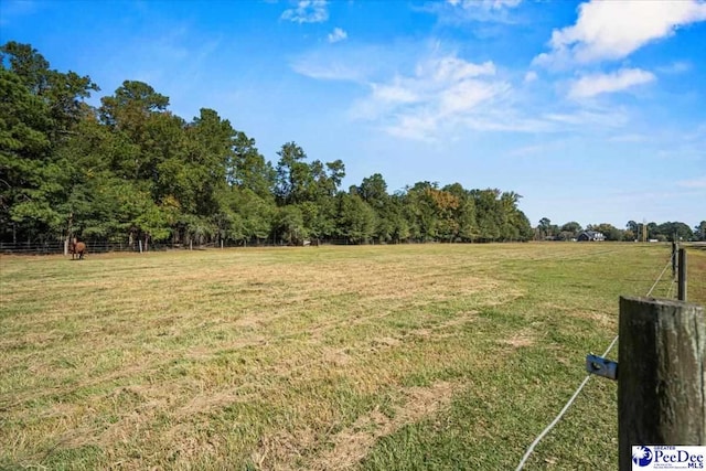 view of yard with a rural view