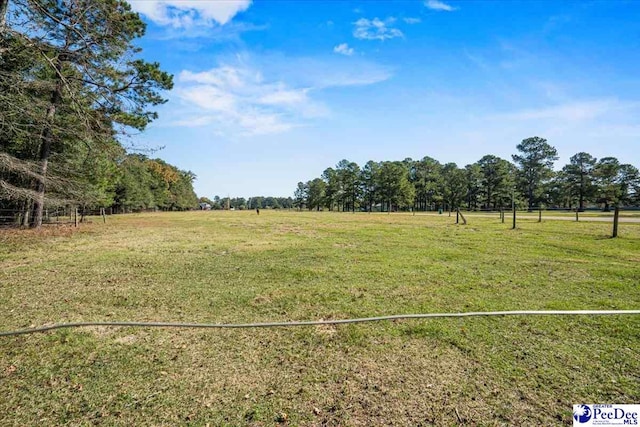 view of yard with a rural view