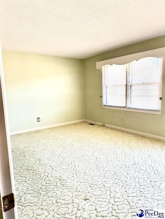 spare room with carpet flooring and a textured ceiling