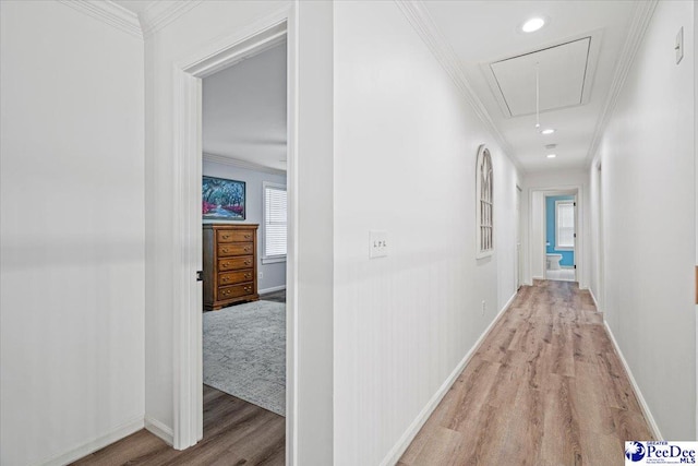 hall with crown molding and light hardwood / wood-style flooring