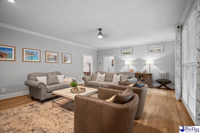 living room with crown molding, ceiling fan, and light hardwood / wood-style flooring