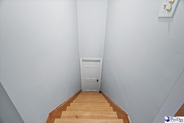 staircase featuring hardwood / wood-style flooring