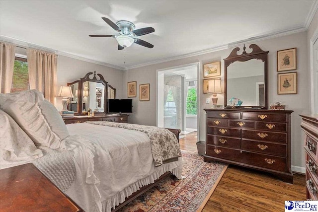 965 Scriven Dr, Flornce, SC 29501 - bedroom featuring multiple windows, wood finished floors, ornamental molding, and a ceiling fan
