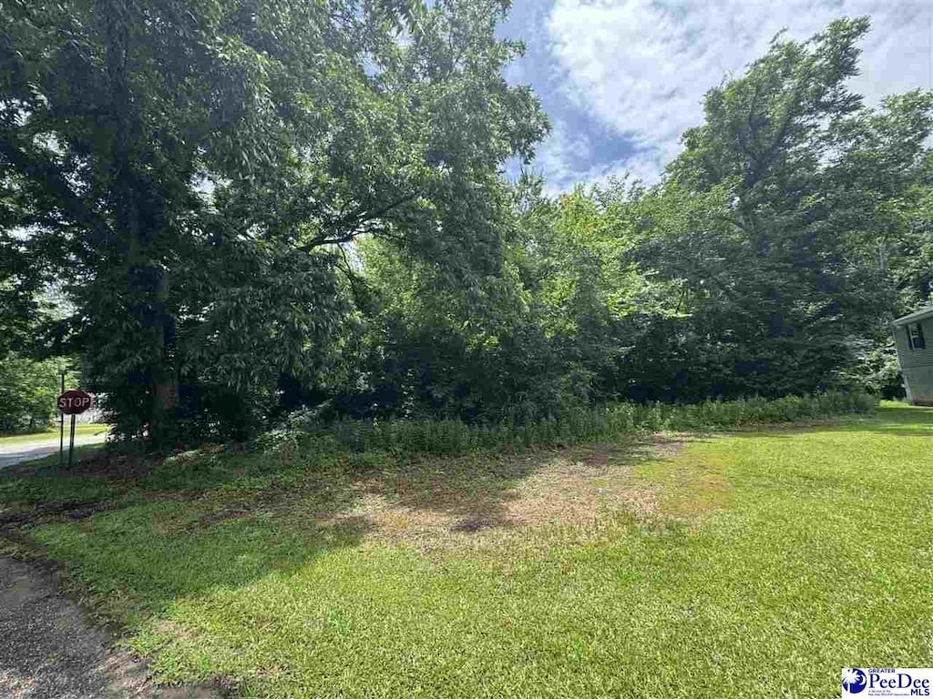 2600 Bank St, Sellers, SC 29592 - photo 1