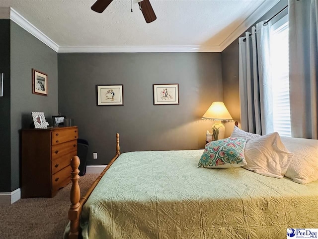 bedroom featuring multiple windows, ornamental molding, and carpet