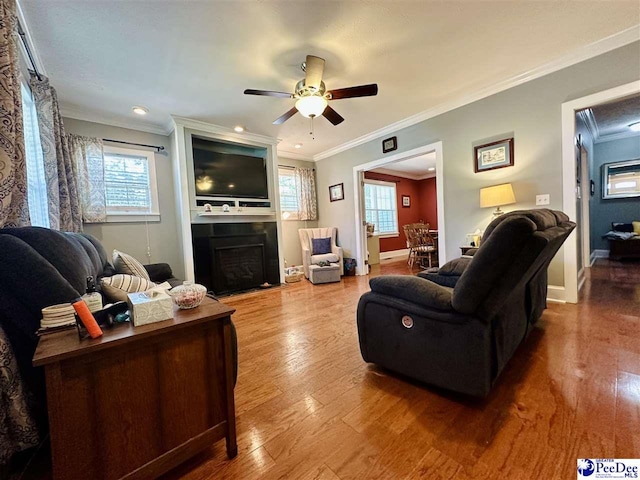 living room featuring ceiling fan, ornamental molding, wood-type flooring, and plenty of natural light