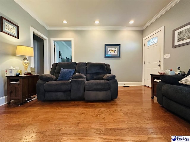 living room with ornamental molding and light wood-type flooring