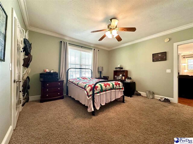 carpeted bedroom featuring multiple windows, crown molding, ceiling fan, and a textured ceiling