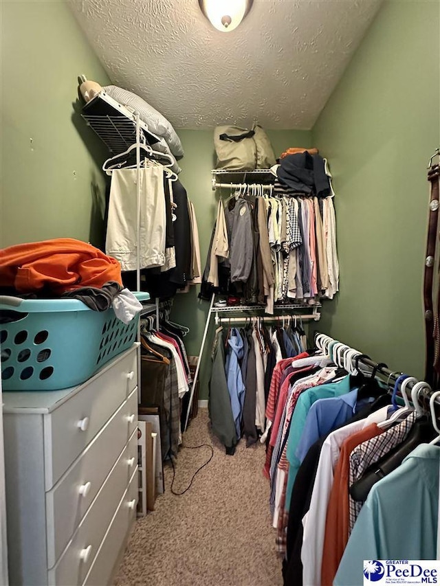 walk in closet featuring light colored carpet