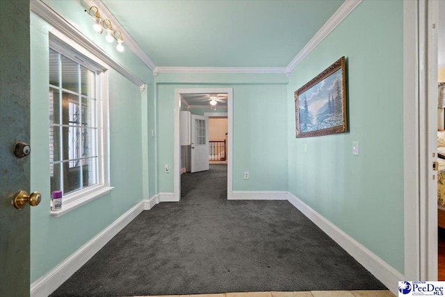 hallway with crown molding and carpet flooring