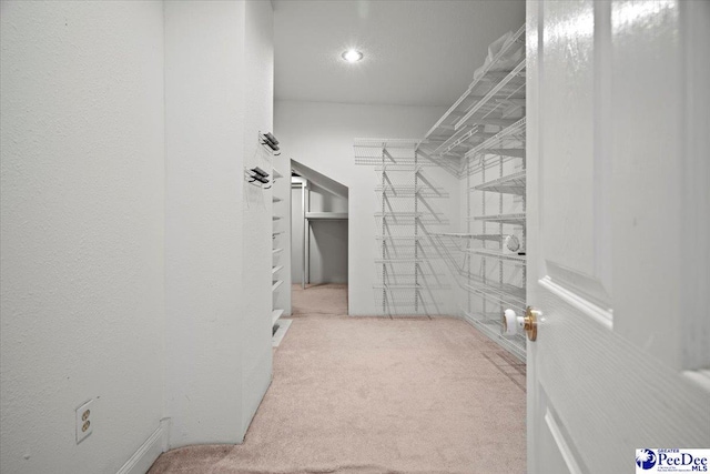 spacious closet featuring light carpet