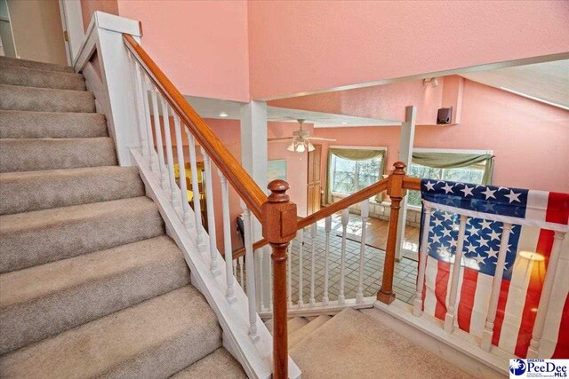 stairway with ceiling fan and carpet floors