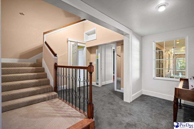 stairs featuring carpet floors and a textured ceiling