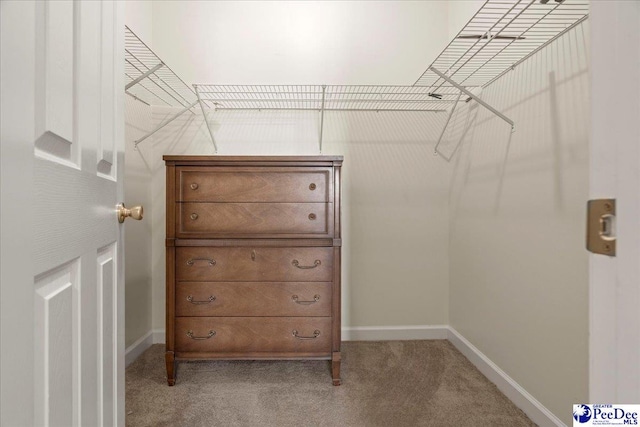 walk in closet featuring light carpet