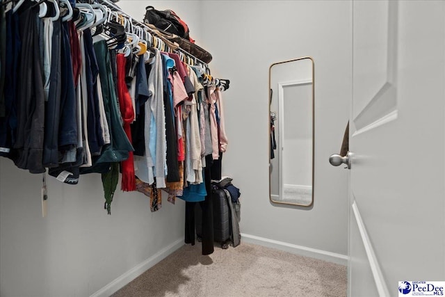 2025 Eastpark Dr, Darlington, SC 29532 - walk in closet featuring carpet flooring