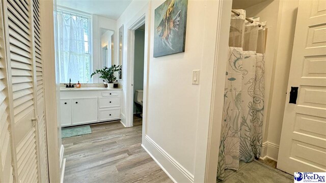 bathroom with hardwood / wood-style flooring, vanity, and toilet