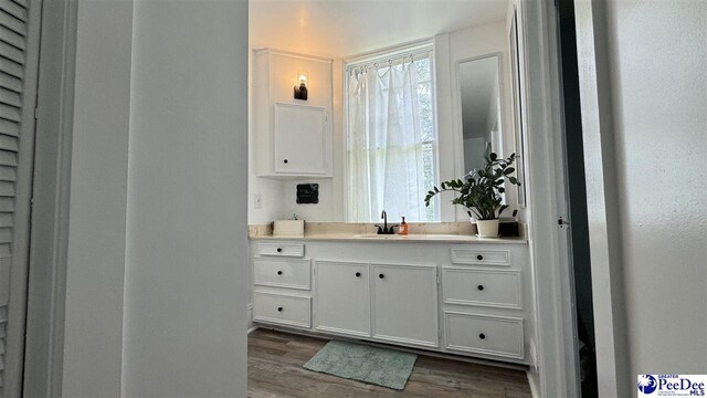 bathroom with wood-type flooring and vanity