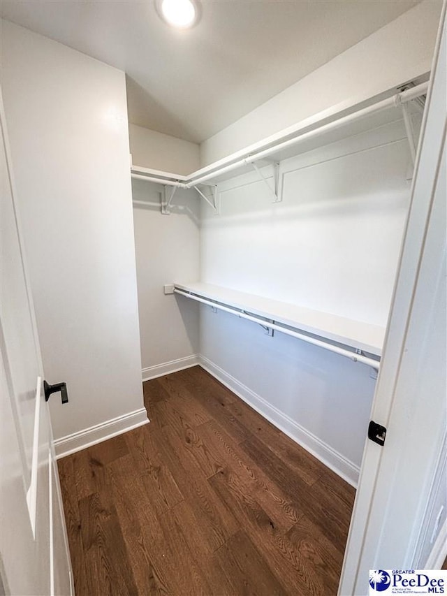 walk in closet with dark wood-type flooring