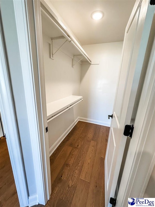 spacious closet with dark wood-type flooring