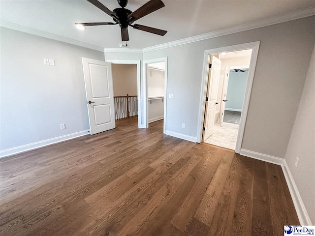 unfurnished bedroom featuring dark wood-style floors, a spacious closet, ornamental molding, ceiling fan, and baseboards