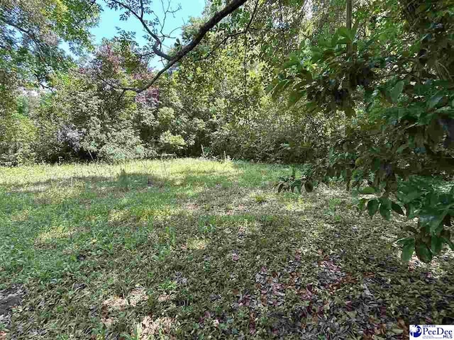 view of landscape featuring a wooded view