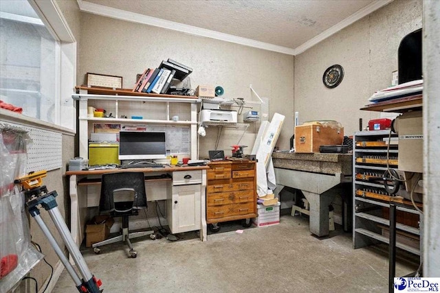 home office featuring crown molding and a textured ceiling