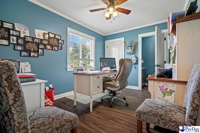 office space featuring ceiling fan, ornamental molding, and dark hardwood / wood-style flooring