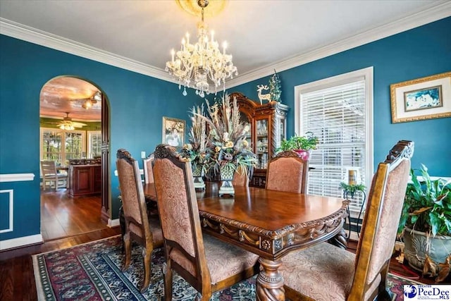 dining space featuring ornamental molding, a healthy amount of sunlight, and dark hardwood / wood-style flooring