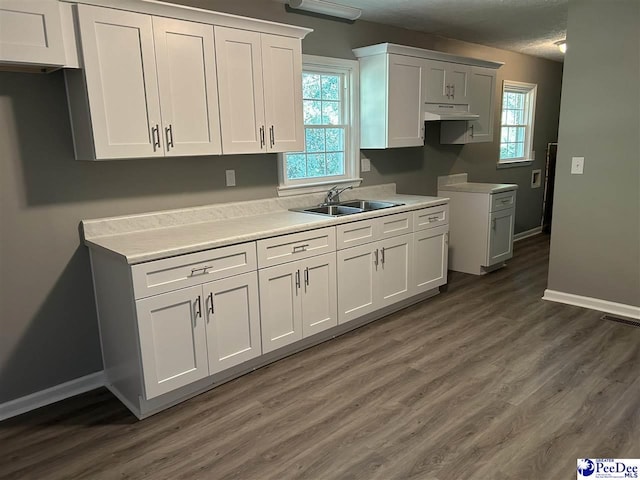 kitchen featuring sink, white cabinets, and dark hardwood / wood-style flooring