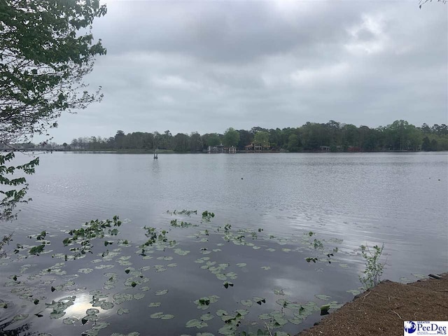 property view of water with a forest view
